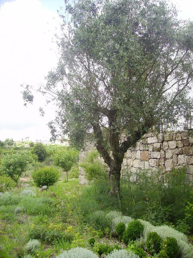 Oportonature Guilhabreu المظهر الخارجي الصورة