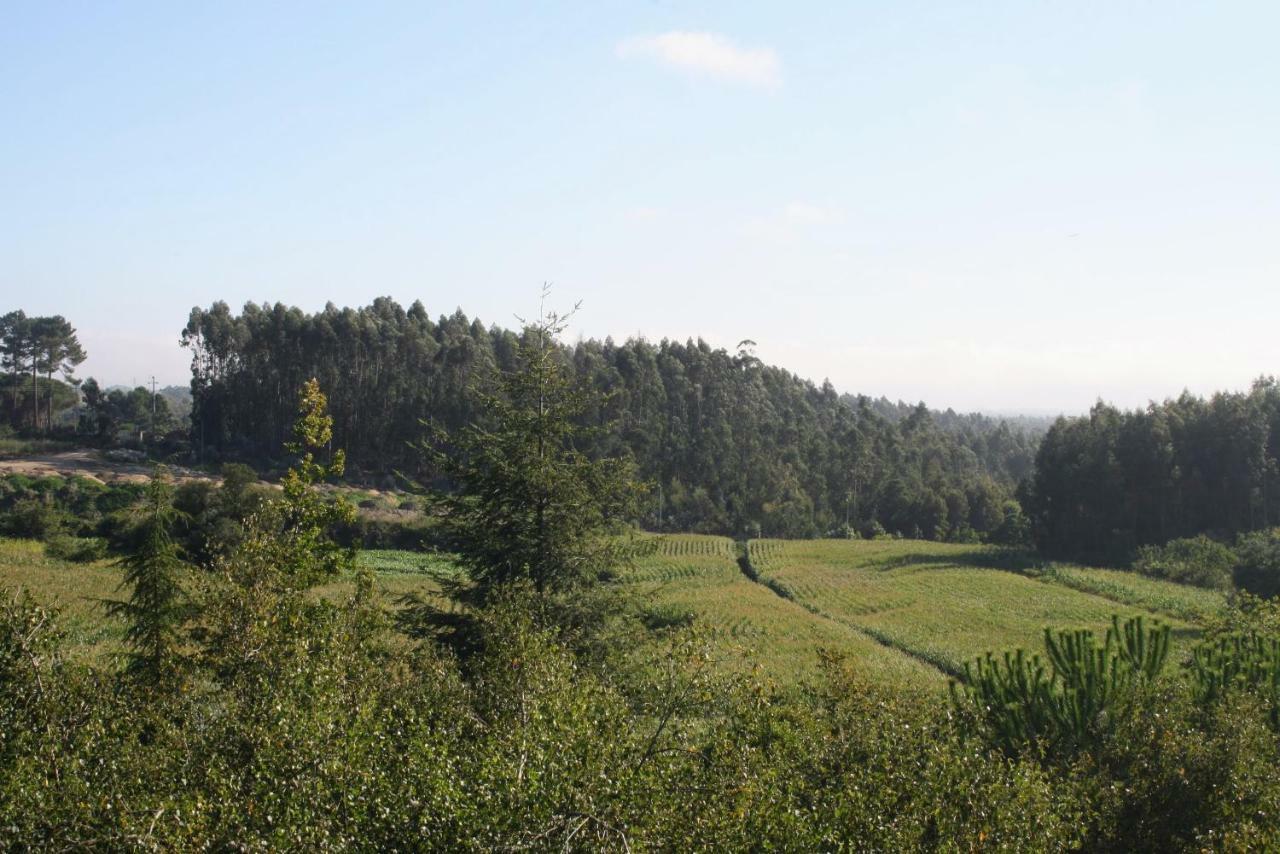 Oportonature Guilhabreu المظهر الخارجي الصورة